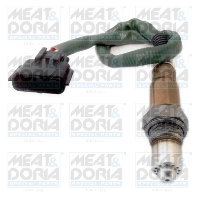 Oxygen Sensor